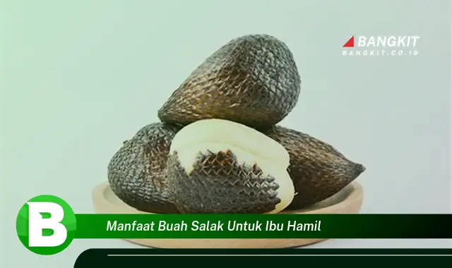 Intip Manfaat Buah Salak untuk Ibu Hamil yang Wajib Kamu Tau