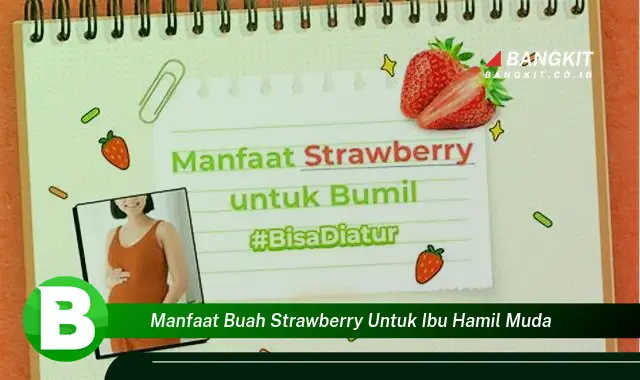 Ketahui Manfaat Buah Strawberry untuk Ibu Hamil Muda yang Bikin Kamu Penasaran