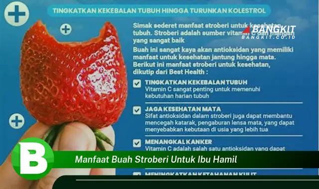 Temukan Manfaat Buah Stroberi untuk Ibu Hamil yang Wajib Kamu Intip