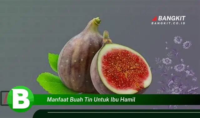 Temukan Manfaat Buah Tin yang Bikin Kamu Penasaran untuk Ibu Hamil