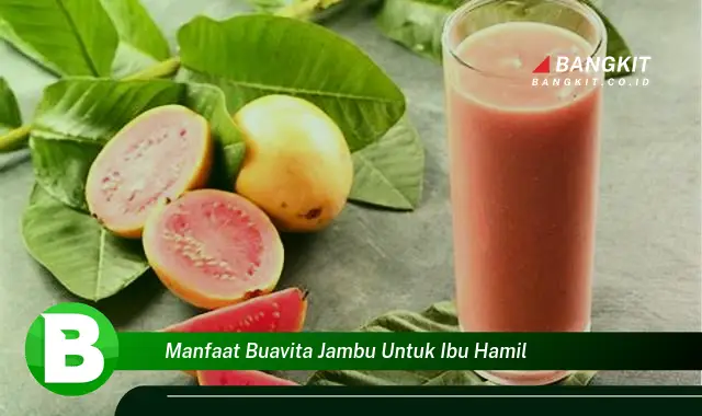 Intip Manfaat Buavita Jambu untuk Ibu Hamil yang Wajib Kamu Tau