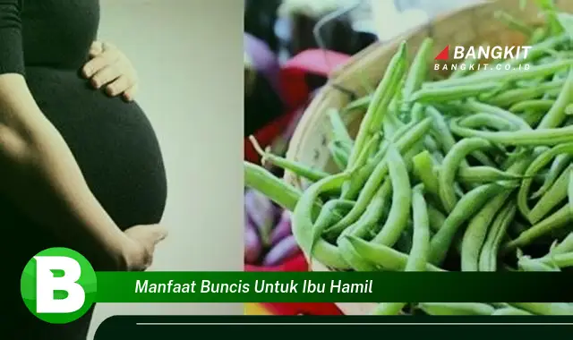 Temukan Manfaat Buncis untuk Ibu Hamil yang Wajib Kamu Tau