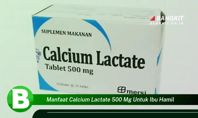 Temukan Manfaat Kalsium Laktat 500 mg untuk Ibu Hamil yang Wajib Kamu Intip