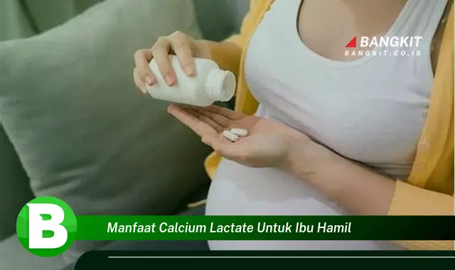 Ketahui Manfaat Calcium Lactate yang Wajib Kamu Intip Untuk Ibu Hamil