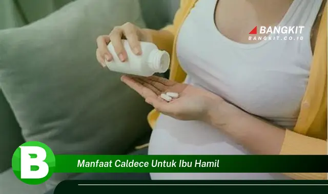 Intip Manfaat Caldece untuk Ibu Hamil yang Bikin Kamu Penasaran