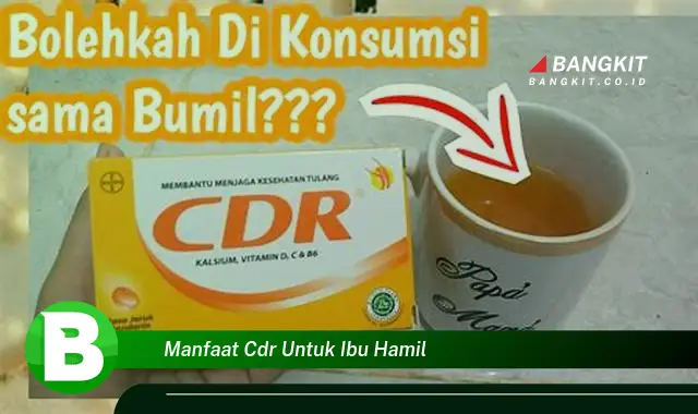 Intip Manfaat CDR untuk Ibu Hamil yang Bikin Kamu Penasaran