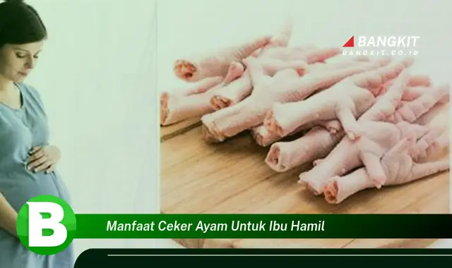 Intip Manfaat Ceker Ayam untuk Ibu Hamil yang Bikin Kamu Penasaran