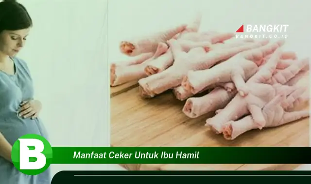 Temukan Manfaat Ceker untuk Ibu Hamil yang Bikin Kamu Penasaran