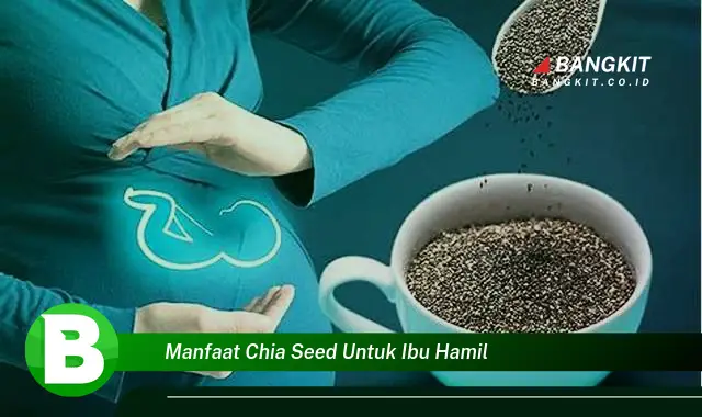 Manfaat Chia Seed Untuk Ibu Hamil