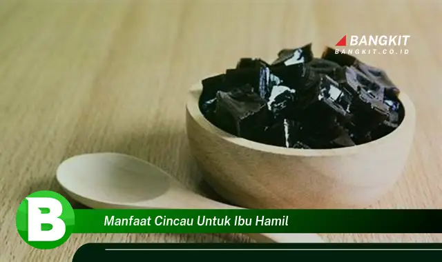 Intip Manfaat Cincau untuk Ibu Hamil yang Wajib Kamu Tau