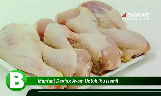 Intip Rahasia Manfaat Daging Ayam untuk Ibu Hamil yang Mencengangkan!