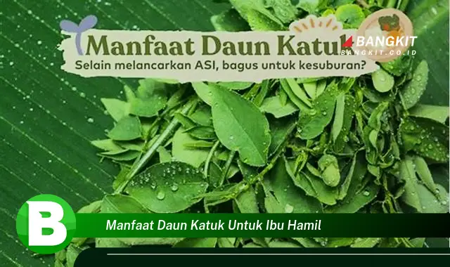 Temukan Manfaat Daun Katuk untuk Ibu Hamil yang Wajib Anda Ketahui