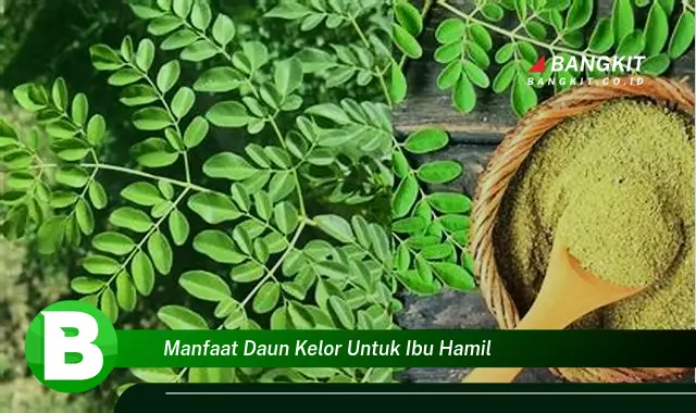 Temukan Manfaat Daun Kelor untuk Ibu Hamil yang Bikin Kamu Penasaran