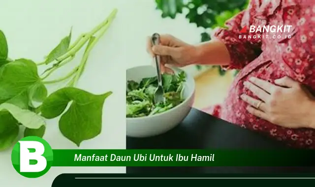 Intip Manfaat Daun Ubi untuk Ibu Hamil yang Bikin Kamu Penasaran