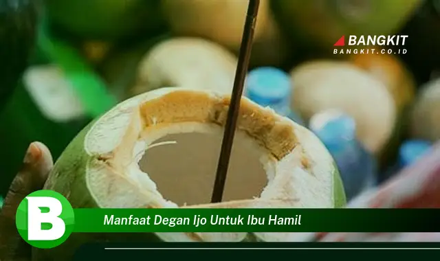 Intip Manfaat Degan Ijo Buat Ibu Hamil yang Bikin Kamu Penasaran!