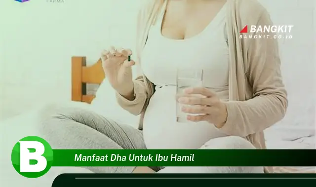 Ketahui Manfaat DHA untuk Ibu Hamil yang Bikin Kamu Penasaran