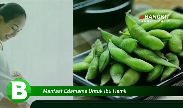 Intip Manfaat Edamame yang Wajib Kamu Tahu untuk Ibu Hamil