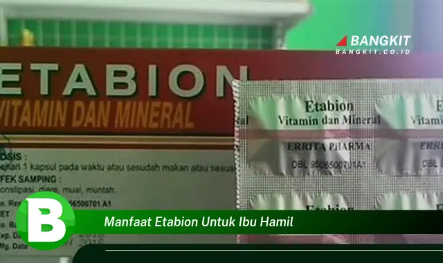 Temukan Manfaat Etabion untuk Ibu Hamil yang Wajib Kamu Tau