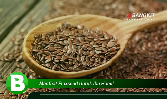 Temukan Manfaat Flaxseed yang Bikin Kamu Penasaran untuk Ibu Hamil