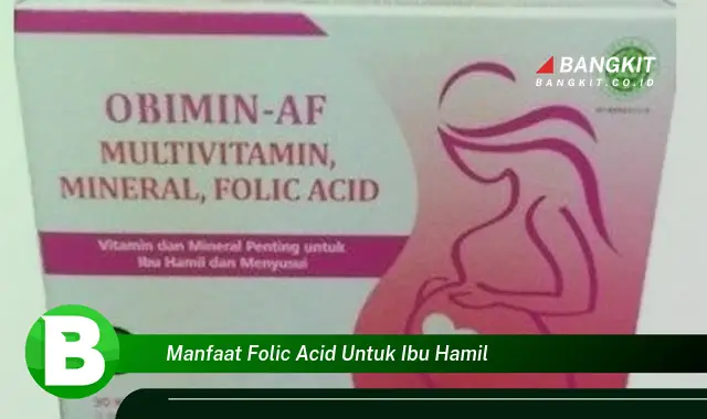 Intip Khasiat Asam Folat untuk Ibu Hamil yang Bikin Kamu Penasaran