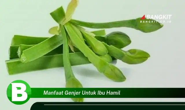 Ketahui Manfaat Genjer untuk Ibu Hamil yang Bikin Kamu Penasaran!