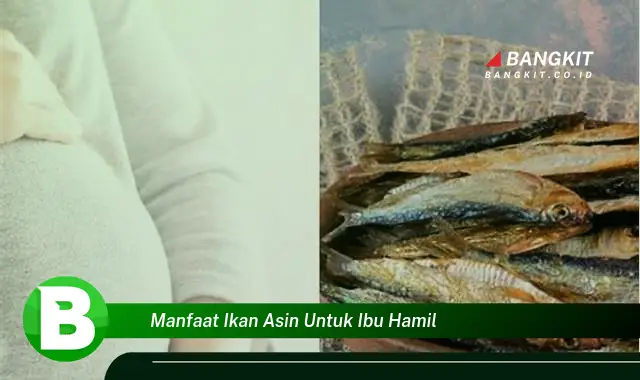 Intip Khasiat Ikan Asin untuk Ibu Hamil yang Bikin Kamu Penasaran