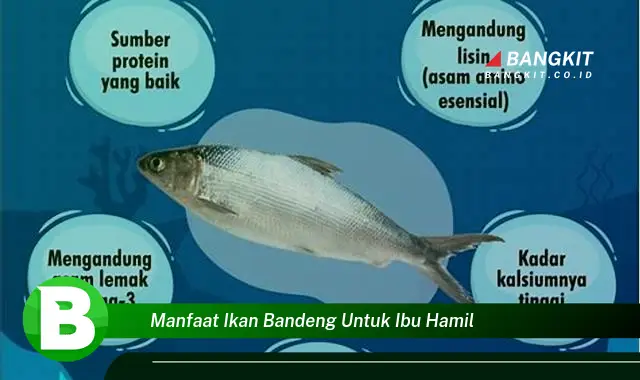 Temukan Manfaat Ikan Bandeng untuk Ibu Hamil yang Wajib Kamu Tahu