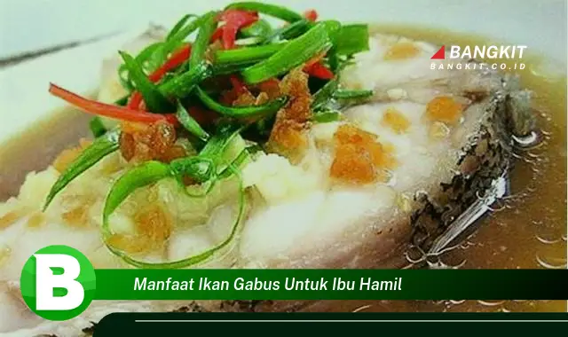 Intip Manfaat Ikan Gabus untuk Ibu Hamil yang Wajib Kamu Tau