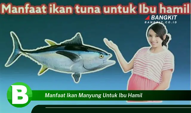 Temukan Manfaat Ikan Manyung yang Bikin Kamu Penasaran untuk Ibu Hamil