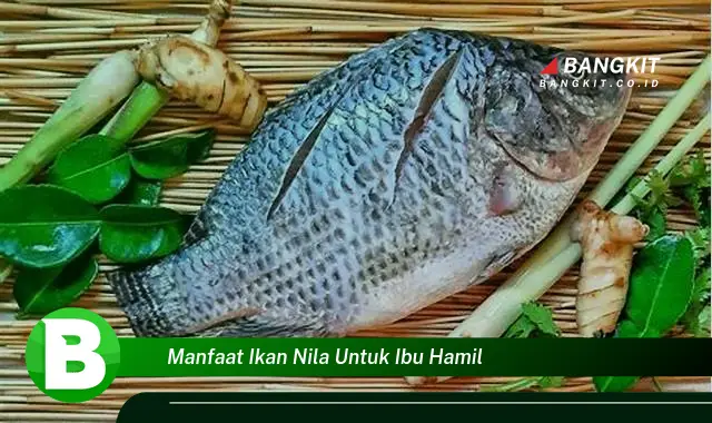 Temukan Manfaat Ikan Nila untuk Ibu Hamil yang Wajib Kamu Intip