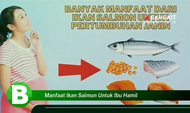 Temukan Manfaat Ikan Salmon untuk Ibu Hamil yang Bikin Kamu Penasaran