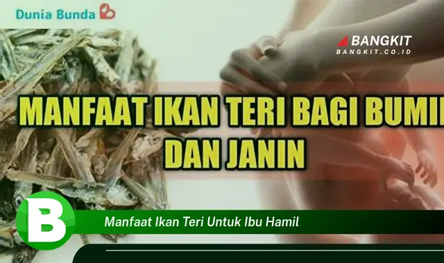 Intip Manfaat Ikan Teri untuk Ibu Hamil yang Bikin Kamu Penasaran