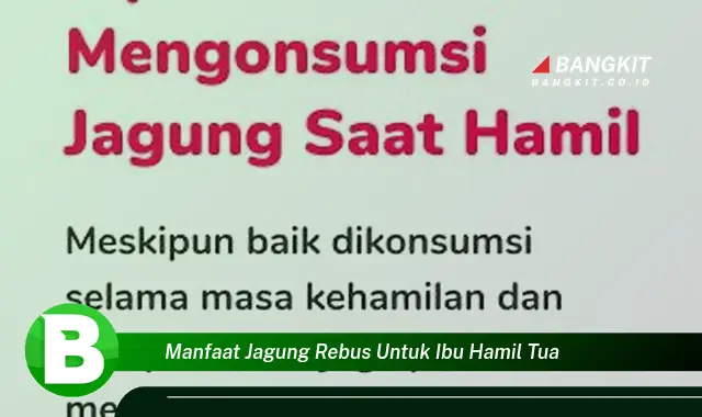 Intip Manfaat Jagung Rebus yang Bikin Kamu Penasaran untuk Ibu Hamil Tua