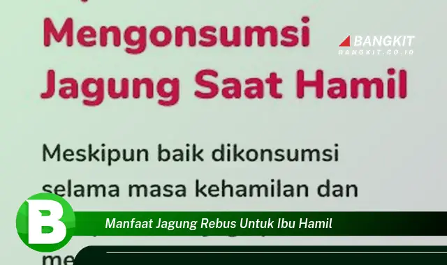 Ketahui Manfaat Jagung Rebus yang Wajib Kamu Intip untuk Ibu Hamil