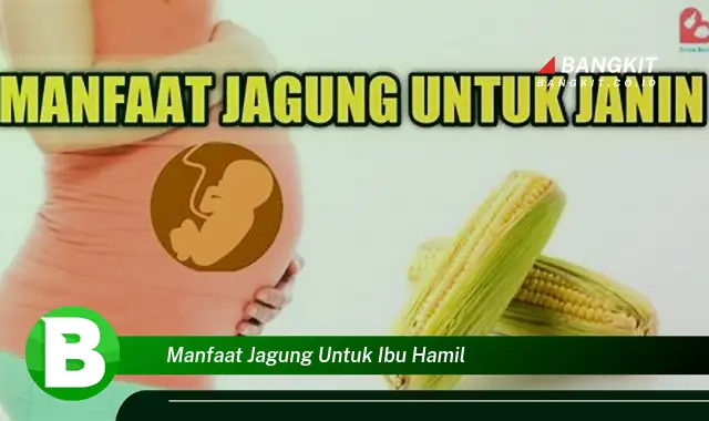 Ketahui Manfaat Jagung yang Bikin Kamu Penasaran Bagi Ibu Hamil