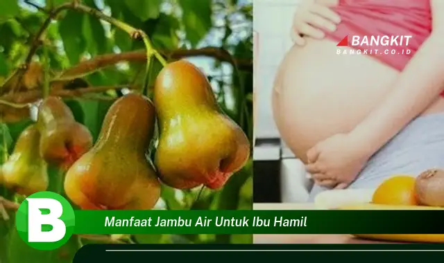 Intip Manfaat Jambu Air untuk Ibu Hamil yang Bikin Kamu Penasaran