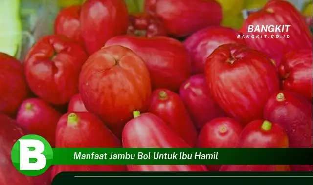 Temukan Manfaat Jambu Bol untuk Ibu Hamil yang Wajib Kamu Intip