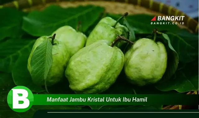 Intip Manfaat Jambu Kristal yang Bikin Ibu Hamil Penasaran