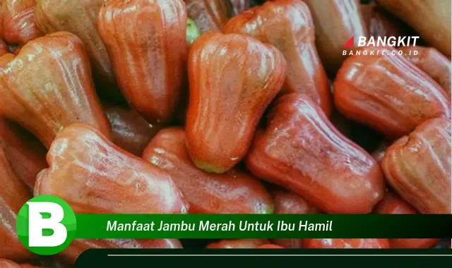 Intip Manfaat Jambu Merah yang Bikin Kamu Penasaran untuk Ibu Hamil