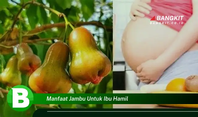 Ketahui Manfaat Jambu untuk Ibu Hamil yang Wajib Kamu Tau