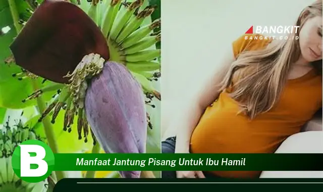 Temukan Manfaat Jantung Pisang untuk Ibu Hamil yang Bikin Kamu Penasaran