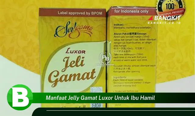 Intip Manfaat Jelly Gamat Luxor untuk Ibu Hamil Yang Wajib Kamu Tahu