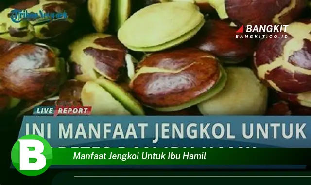 Ketahui Manfaat Jengkol untuk Ibu Hamil yang Wajib Kamu Tau