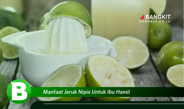 Intip Manfaat Jeruk Nipis untuk Ibu Hamil yang Wajib Kamu Ketahui