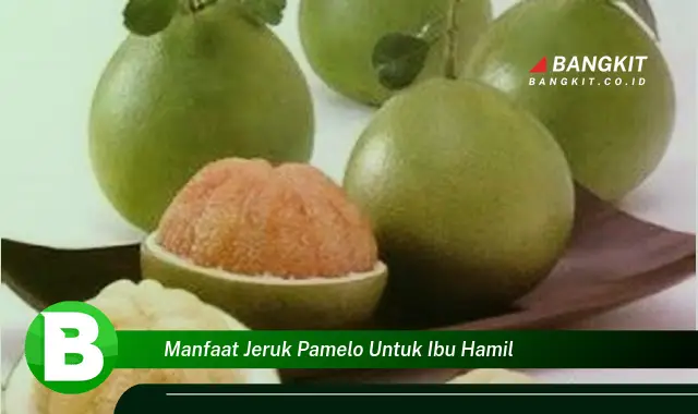 Temukan Manfaat Jeruk Pamelo untuk Ibu Hamil yang Wajib Kamu Tau