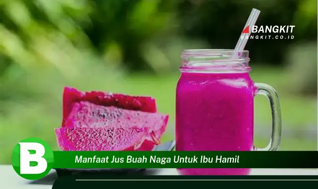 Temukan Manfaat Jus Buah Naga untuk Ibu Hamil yang Bikin Kamu Penasaran