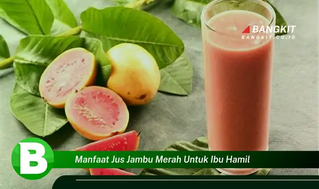 Intip Manfaat Jus Jambu Merah yang Bikin Kamu Penasaran untuk Ibu Hamil