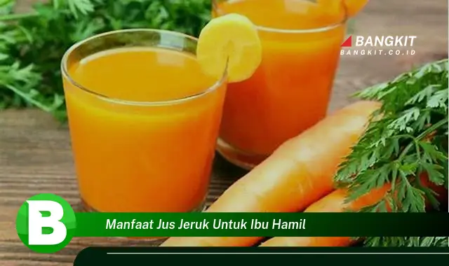 Ketahui Manfaat Jus Jeruk yang Bikin Ibu Hamil Penasaran