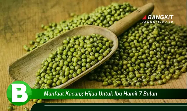 Intip Manfaat Kacang Hijau untuk Ibu Hamil 7 Bulan yang Bikin Kamu Penasaran