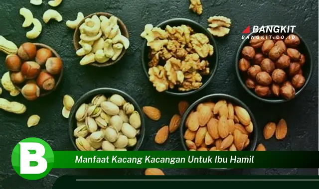 Temukan Manfaat Kacang Kacangan untuk Ibu Hamil yang Bikin Kamu Penasaran